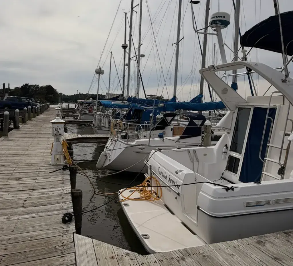 Slip rentals